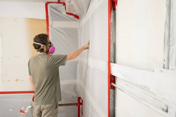 Best Commercial Mold Inspection  in Manson, WA